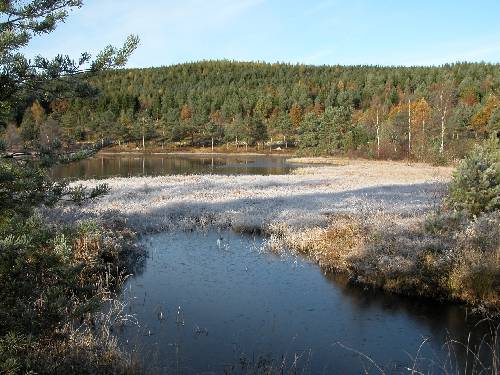 Naturens element i sentrum av Arboretet